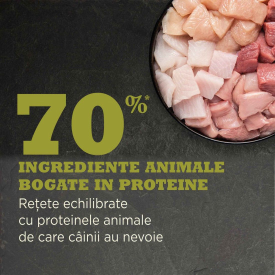 ACANA Highest Protein Grasslands – hrană uscată fără cereale pentru câini, bogată în proteine animale, 11,4 kg